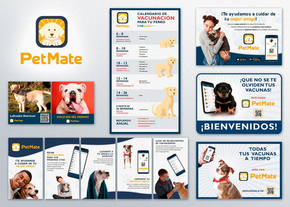 PetMate - Veterinary app (Branding and advertisement)